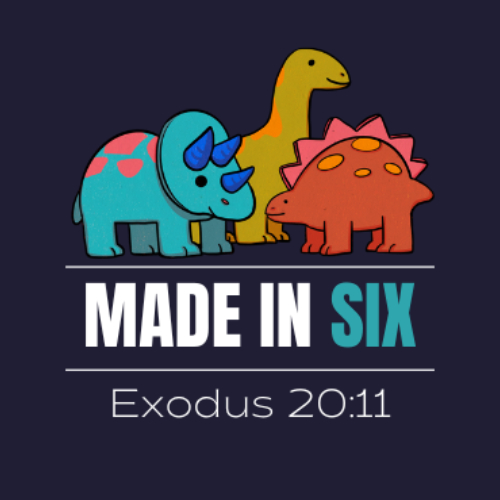 Made In Six